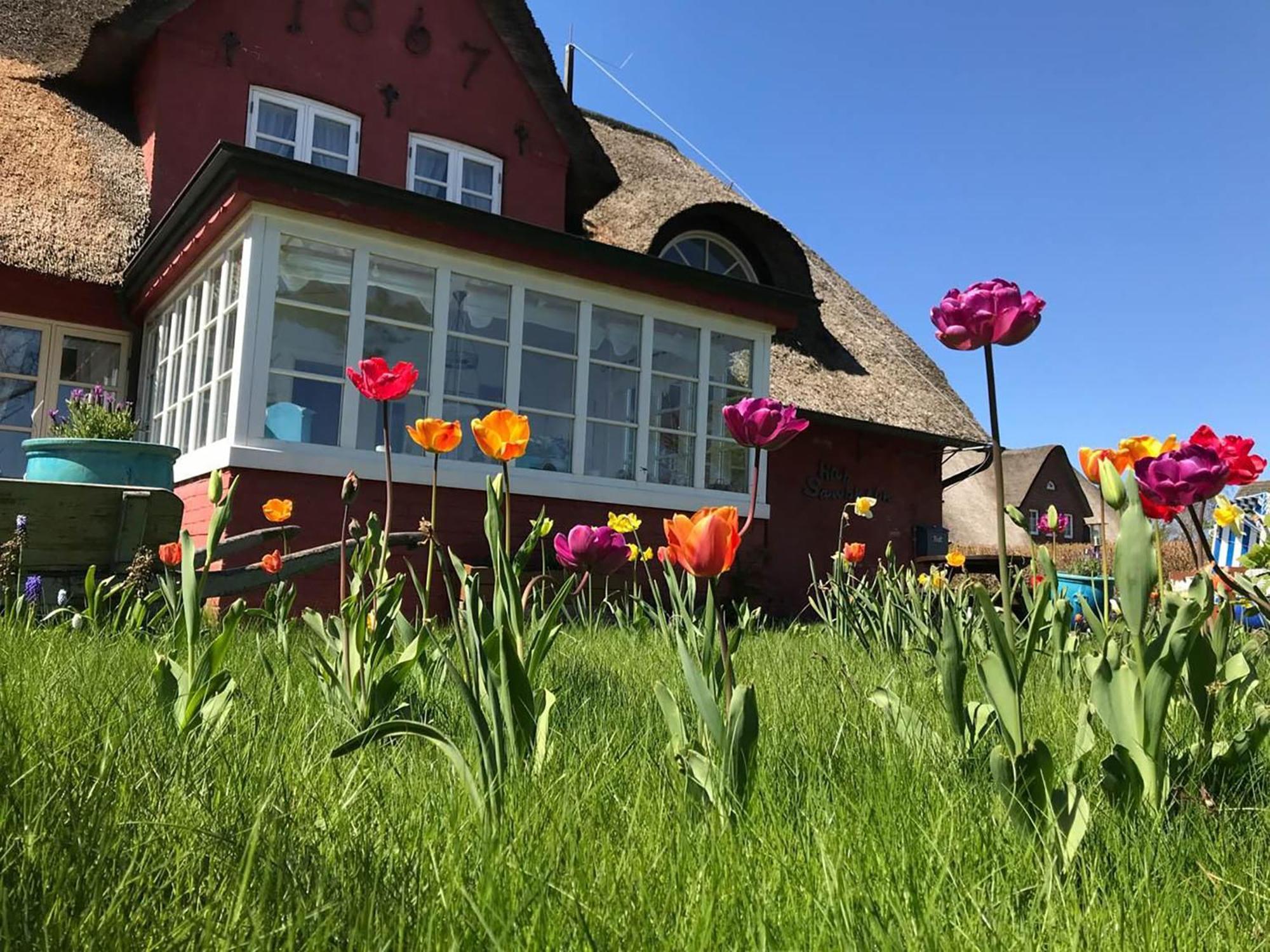 Hues Sanskiin Ferienwohnung *Aawerkant* Suddorf Eksteriør billede